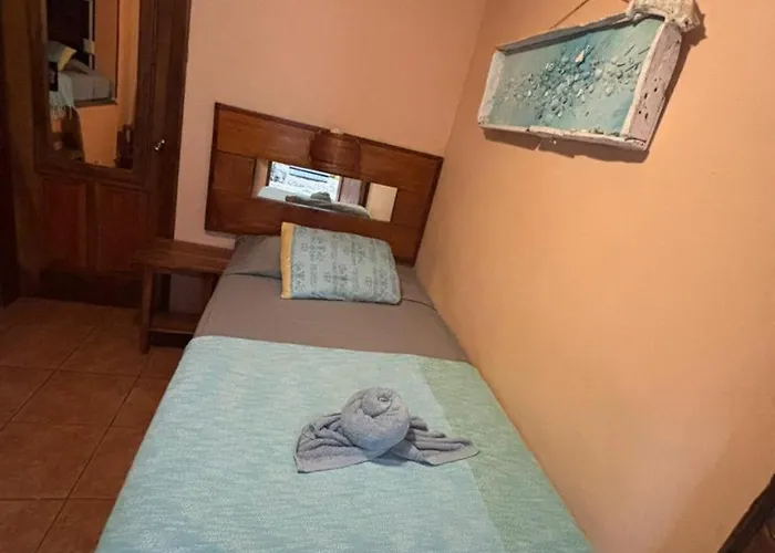 Lodge Tico Adventure Samara