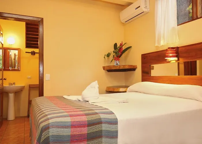 Tico Adventure